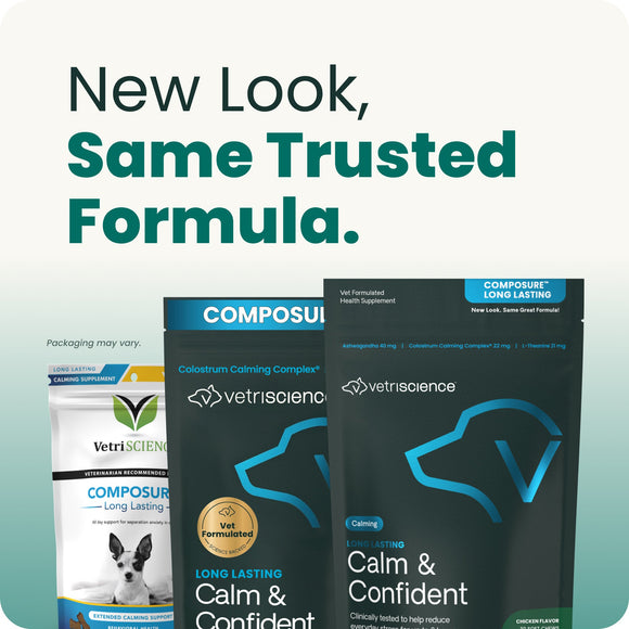 Long Lasting Calm & Confident Chews for Dogs - Dog Supplements & Vitamins 8
