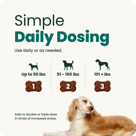Long Lasting Calm & Confident Chews for Dogs - Dog Supplements & Vitamins 9