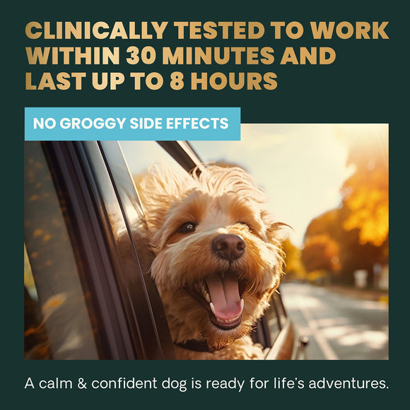 Long Lasting Calm & Confident Chews for Dogs