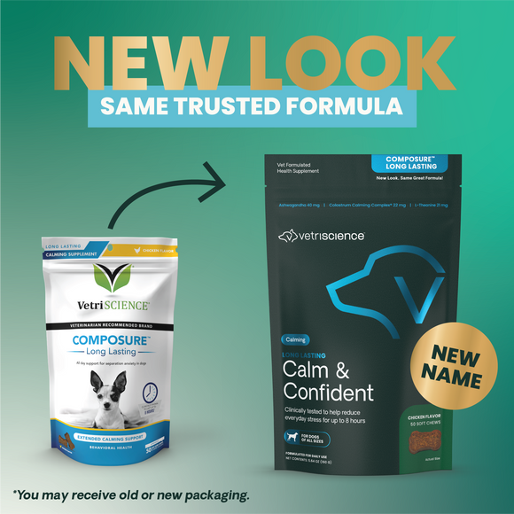 Long Lasting Calm & Confident Chews for Dogs - Dog Supplements & Vitamins 3