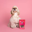 Lord Jameson Berry Best Organic Strawberry Soft & Chewy Treats For Dog (6 oz)