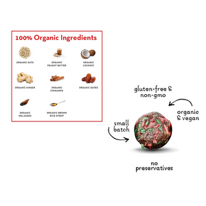 Lord Jameson Gingerbread Organic Soft & Chewy Dog Treats (6 Oz) - Dog Treats 2