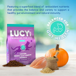 Lucy Pet Formulas For Life Chicken Brown Rice & Pumpkin Limited Ingredient Dry Cat Food (4 lb) - Cat Food 2
