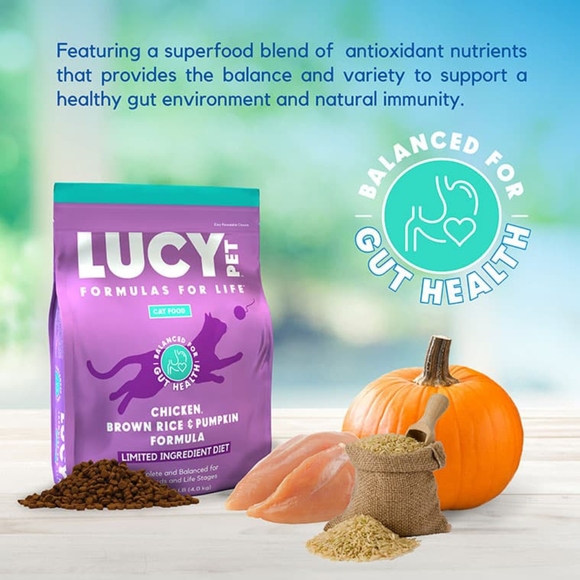 Lucy Pet Formulas For Life Chicken Brown Rice & Pumpkin Limited Ingredient Dry Cat Food (4 lb) - Cat Food 2