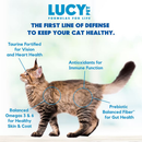 Lucy Pet Formulas For Life Chicken Brown Rice & Pumpkin Limited Ingredient Dry Cat Food (4 lb) - Cat Food 4