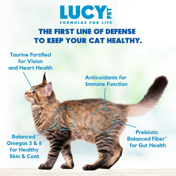 Lucy Pet Formulas For Life Chicken Brown Rice & Pumpkin Limited Ingredient Dry Cat Food (4 lb) - Cat Food 4