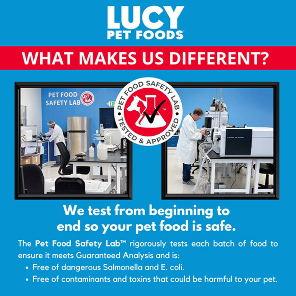 Lucy Pet Formulas For Life Chicken Brown Rice & Pumpkin Limited Ingredient Dry Cat Food (4 lb) - Cat Food 8