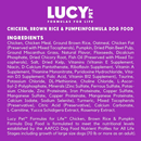 Lucy Pet Formulas For Life Chicken Brown Rice & Pumpkin Small Bites Dry Small Breed Dog Food (4.5 lb) - Dog Food 7