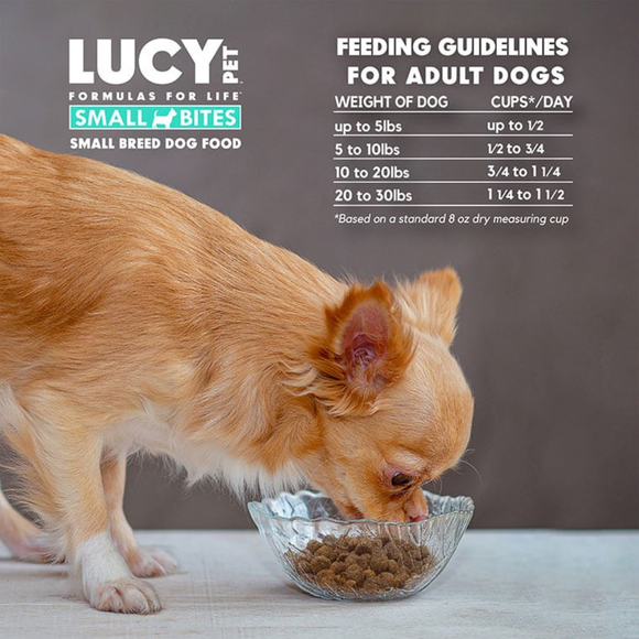 Lucy Pet Formulas For Life Chicken Brown Rice & Pumpkin Small Bites Dry Small Breed Dog Food (4.5 lb) - Dog Food 8
