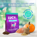 Lucy Pet Formulas For Life Chicken Brown Rice & Pumpkin Small Bites Dry Small Breed Dog Food (4.5 lb) - Dog Food 3