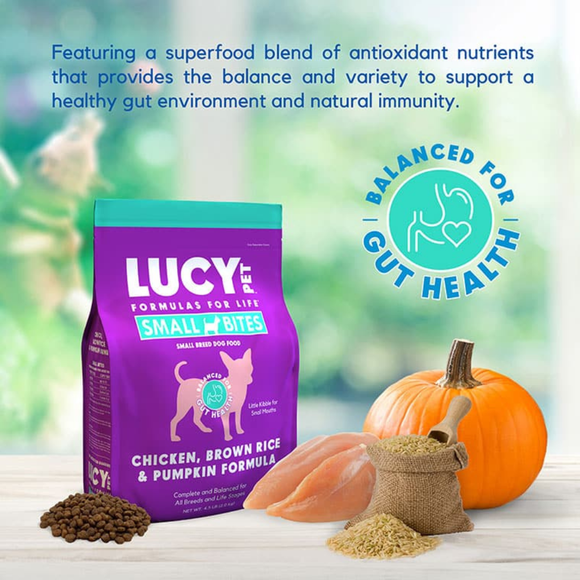 Lucy Pet Formulas For Life Chicken Brown Rice & Pumpkin Small Bites Dry Small Breed Dog Food (4.5 lb) - Dog Food 3