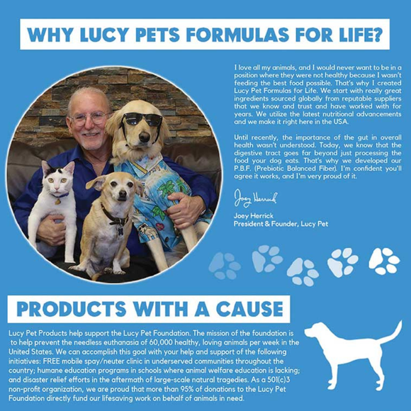 Lucy Pet Formulas For Life Salmon Pumpkin & Quinoa Limited Ingredient Dry Cat Food (4 lb) - Cat Food 9