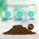 Lucy Pet Formulas For Life Salmon Pumpkin & Quinoa Limited Ingredient Dry Cat Food (4 lb) - Cat Food 3