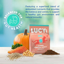 Lucy Pet Formulas For Life Salmon Pumpkin & Quinoa Limited Ingredient Dry Cat Food (4 lb) - Cat Food 2