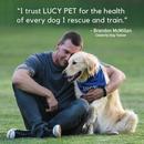 Lucy Pet Formulas For Life Salmon Pumpkin & Quinoa Small Bites Dry Small Breed Dog Food (4.5 lb) - Dog Food 5