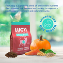 Lucy Pet Formulas For Life Salmon Pumpkin & Quinoa Small Bites Dry Small Breed Dog Food (4.5 lb) - Dog Food 2