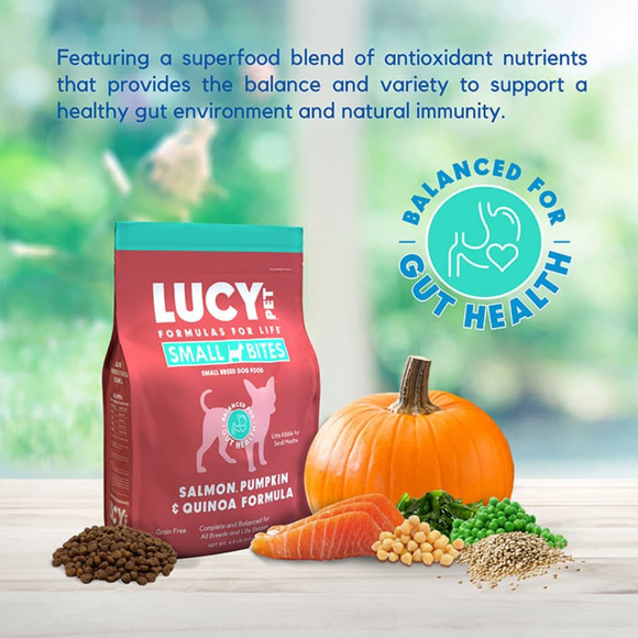 Lucy Pet Formulas For Life Salmon Pumpkin & Quinoa Small Bites Dry Small Breed Dog Food (4.5 lb) - Dog Food 2
