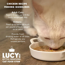 Lucy Pet Kettle Creations Gravy Wet Cat Food (2.75 oz x 12 cans) - Cat Food 11