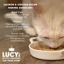 Lucy Pet Kettle Creations Gravy Wet Cat Food (2.75 oz x 12 cans) - Cat Food 17
