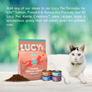 Lucy Pet Kettle Creations Gravy Wet Cat Food (2.75 oz x 12 cans) - Cat Food 7