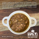 Lucy Pet Kettle Creations Gravy Wet Cat Food (2.75 oz x 12 cans) - Cat Food 5