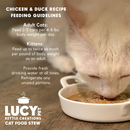 Lucy Pet Kettle Creations Gravy Wet Cat Food (2.75 oz x 12 cans) - Cat Food 24