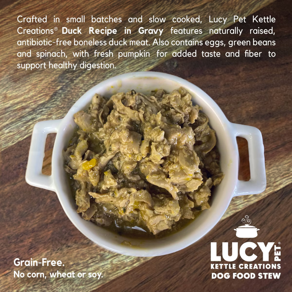 Lucy Pet Kettle Creations Gravy Wet Dog Food (12.5 oz x 12 cans) - Dog Food 11
