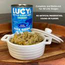 Lucy Pet Kettle Creations Gravy Wet Dog Food (12.5 oz x 12 cans) - Dog Food 10