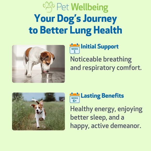 Lung Gold - Lower Respiratory Tract Support for Dogs - Dog Supplements & Vitamins 4
