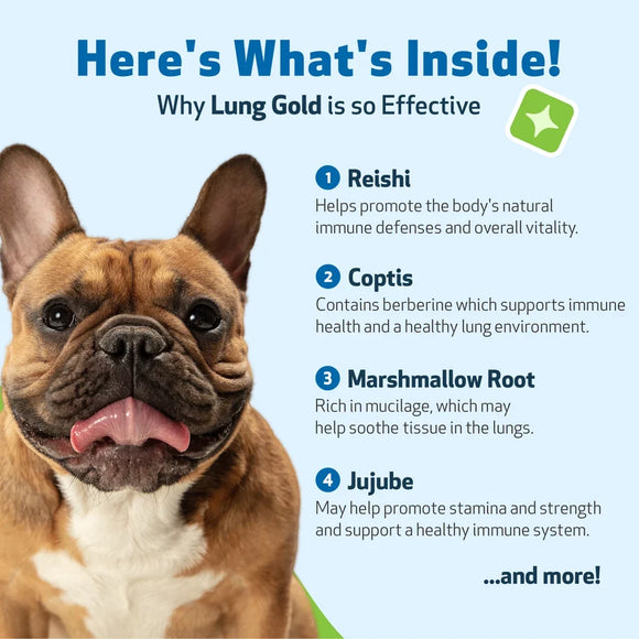 Lung Gold - Lower Respiratory Tract Support for Dogs - Dog Supplements & Vitamins 9
