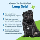 Lung Gold - Lower Respiratory Tract Support for Dogs - Dog Supplements & Vitamins 10