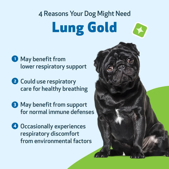 Lung Gold - Lower Respiratory Tract Support for Dogs - Dog Supplements & Vitamins 10