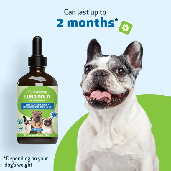 Lung Gold - Lower Respiratory Tract Support for Dogs - Dog Supplements & Vitamins 3