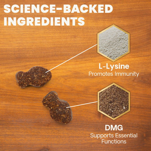Lysine Immunity Health Chews for Cats