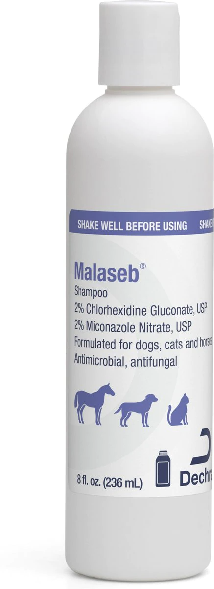 Malaseb Shampoo - 8 oz - Pet Shampoo & Conditioner 3