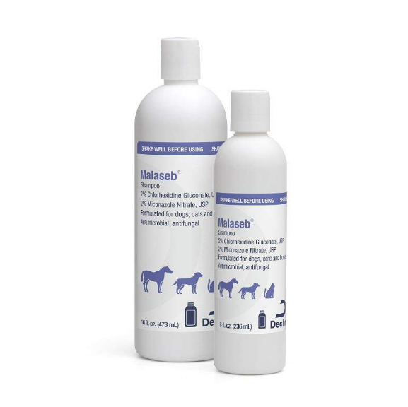 Malaseb Shampoo - Pet Shampoo & Conditioner 1