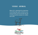 Mann Pro Nurse All Multi-Species Milk Replacer with Probiotics - Kitten Milk Replacers 3
