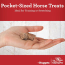 Manna Pro Carrots & Spice Bite-Sized Nugget Treats for Horses (4 lb)
