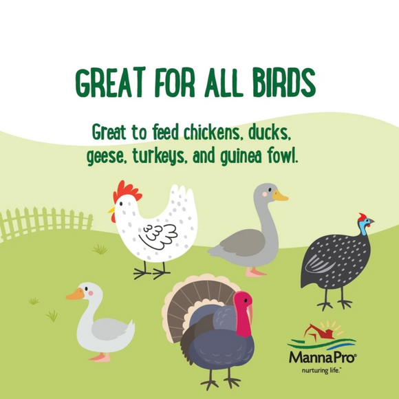 Manna Pro Farmhouse Favorites Mealworms Chicken Treats 2-lb - Chicken Feed 2