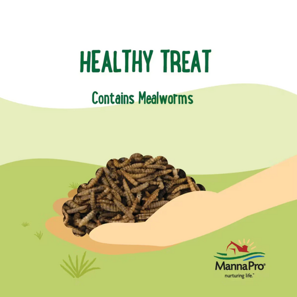 Manna Pro Farmhouse Favorites Mealworms Chicken Treats 2-lb - Chicken Feed 4
