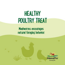 Manna Pro Farmhouse Favorites Mealworms Chicken Treats 2-lb - Chicken Feed 3
