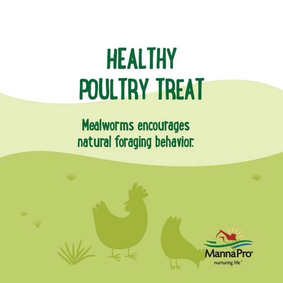 Manna Pro Farmhouse Favorites Mealworms Chicken Treats 2-lb - Chicken Feed 3