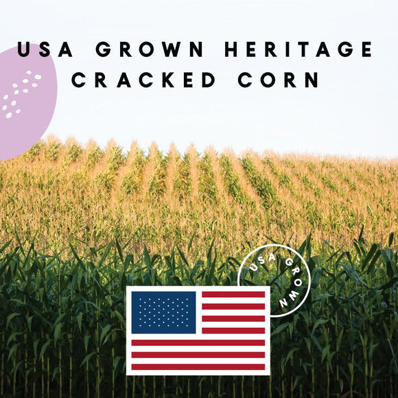Manna Pro Heritage Cracked Corn with Purple Corn for Poultry Birds (10 lb)