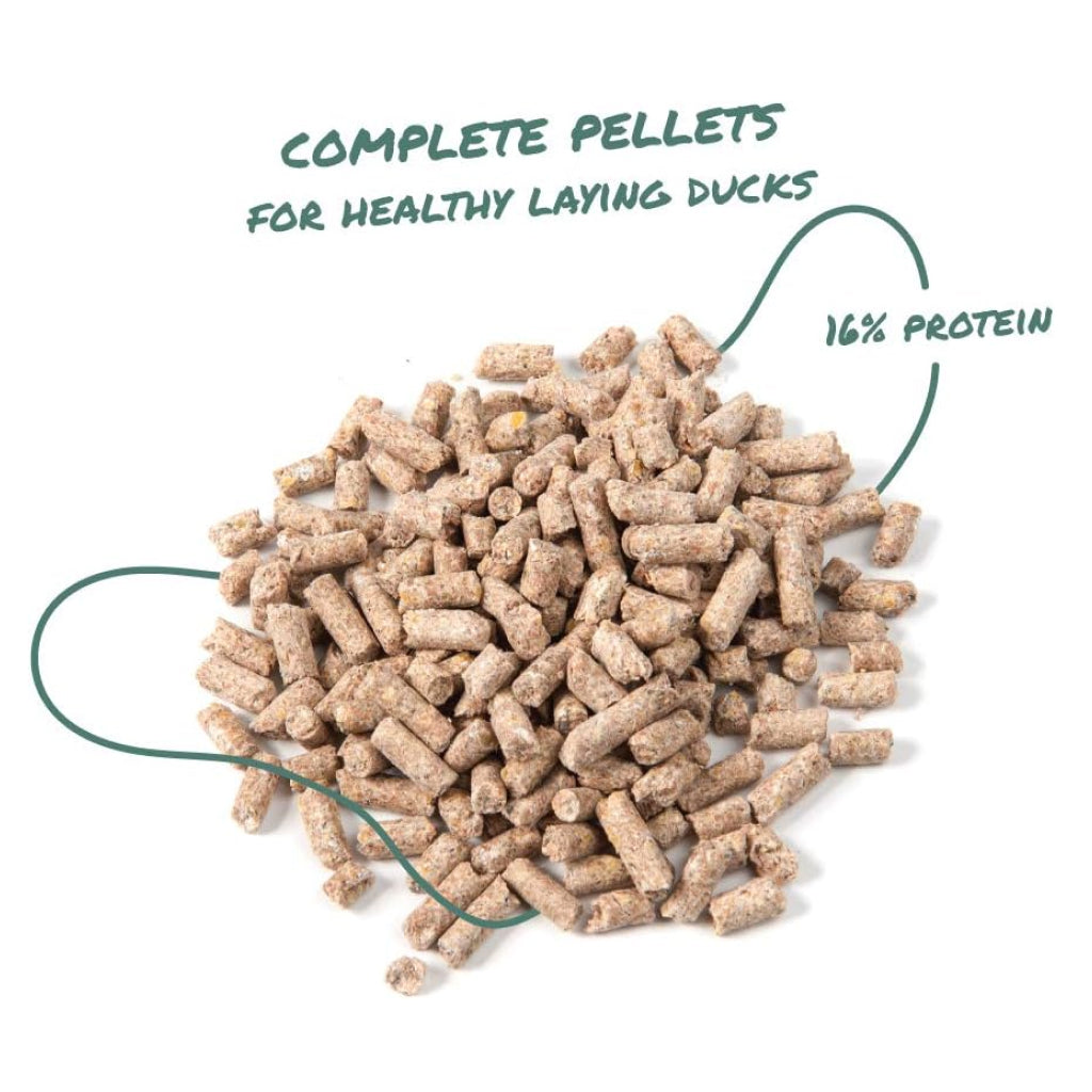 Manna Pro Duck & Goose Layer Pellets – Nutrition for Laying Poultry