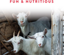 Manna Pro Treats +Probiotics for Goats (5 lb) - Goat & Sheep Feed 6
