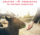 Manna Pro Treats +Probiotics for Goats (5 lb) - Goat & Sheep Feed 4