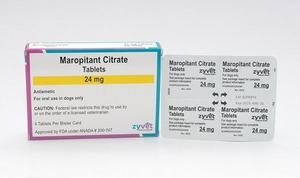 Maropitant Citrate 24mg