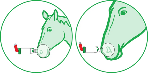 AeroHippus Aerosol Chamber for Horses with Asthma