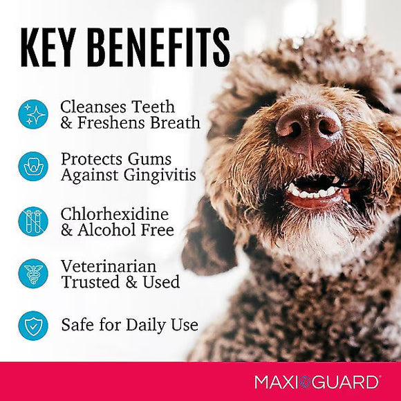 Maxi/Guard Oral Cleansing Gel 4-oz - All Dog Ear Care 5