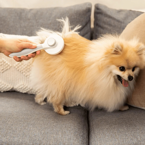 McLovin’s Dual Retractable Slicker Brush for Dogs & Cats - Pet Combs & Brushes 6